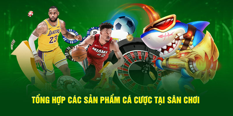 Top các sản phẩm cá độ tại sân chơi